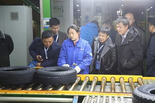 全球新戰略發布，賽輪輪胎如何借力接待業務走好未來之路