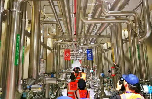 百威雪津 世界級智慧低碳工廠，黑科技護航啤酒誕生之旅與接待業務
