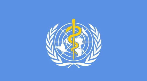 世衛組織最新公布，徹底顛覆認知